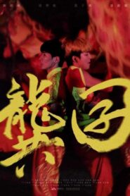 龔囝 Online En Netflix