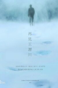 再见王沥川 2018 En Netflix