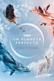 A Perfect Planet 2021 En Netflix