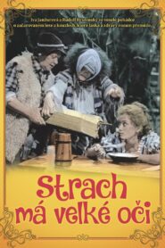 Strach má velké oči Online En Netflix