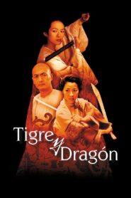 El tigre y el dragón Online En Netflix