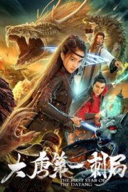 大唐第一刺局 Online En Netflix