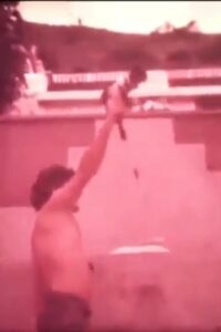 Quem Quiser Fazer Que Faça Agora Online En Netflix