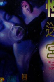 性迷宮 Online En Netflix