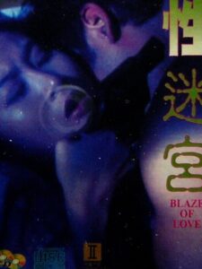 性迷宮 Online En Netflix