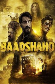 बादशाहो Online En Netflix