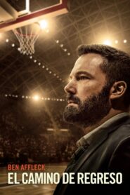 El camino de regreso Online En Netflix