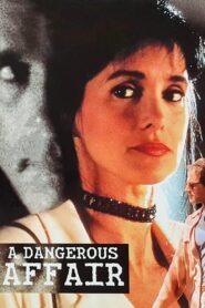 A Dangerous Affair Online En Netflix