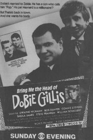 Bring Me the Head of Dobie Gillis Online En Netflix