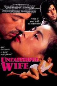 Unfaithful Wife Online En Netflix