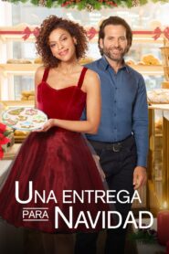 Una entrega para Navidad Online En Netflix