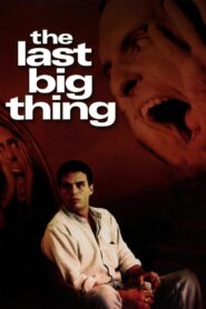 The Last Big Thing Online En Netflix
