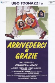 Arrivederci e grazie Online En Netflix