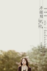 不能飛的鳥 Online En Netflix