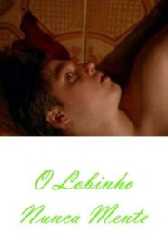 O Lobinho Nunca Mente Online En Netflix