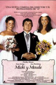 Micki & Maude Online En Netflix