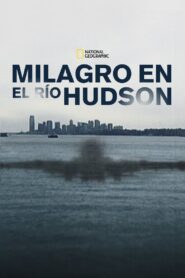 Miracle Landing on the Hudson Online En Netflix