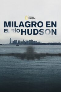 Miracle Landing on the Hudson Online En Netflix