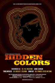 Hidden Colors Online En Netflix