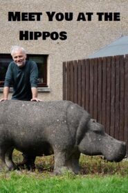 Meet You at the Hippos Online En Netflix