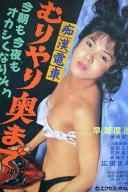 痴漢電車　無理やり奥まで Online En Netflix