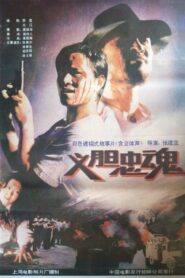 义胆忠魂 Online En Netflix