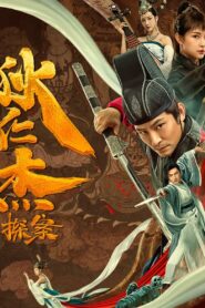 狄仁杰探案 Online En Netflix