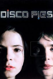Disco Pigs Online En Netflix