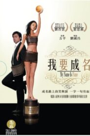 我要成名 Online En Netflix