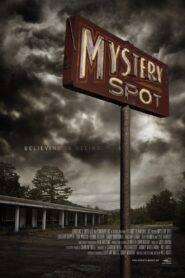 Mystery Spot Online En Netflix