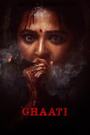 ఘాటి Online En Netflix
