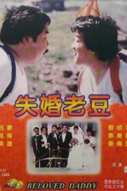 失婚老豆 Online En Netflix