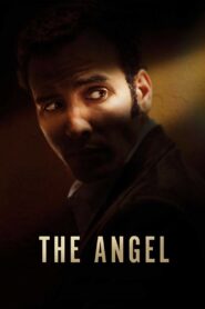 The Angel: La historia de Ashraf Marwan Online En Netflix