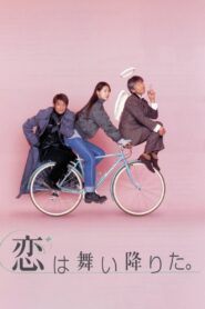 恋は舞い降りた。 Online En Netflix