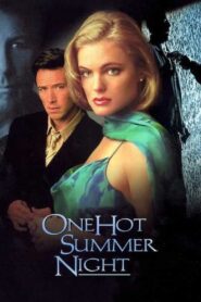 One Hot Summer Night Online En Netflix