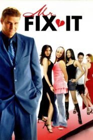 Mr. Fix It Online En Netflix