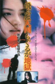 飛ぶは天国、もぐるが地獄 Online En Netflix