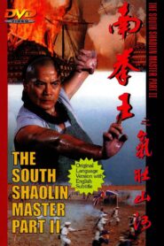 南拳王2气壮山河 Online En Netflix