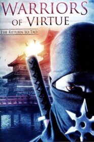 Warriors of Virtue: The Return to Tao Online En Netflix