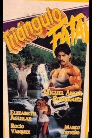 Triángulo Fatal Online En Netflix