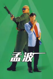 孟波 Online En Netflix