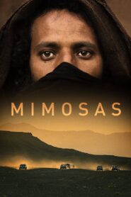 ميموزا Online En Netflix