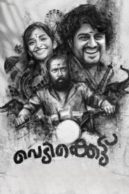 വെടിക്കെട്ടു Online En Netflix