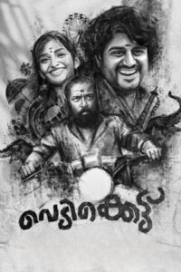 വെടിക്കെട്ടു Online En Netflix