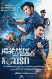 海關戰線 Online En Netflix