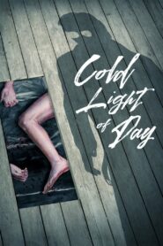 Cold Light of Day Online En Netflix