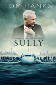 Sully: Hazaña en el Hudson Online En Netflix
