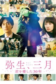 弥生、三月 君を愛した30年 Online En Netflix