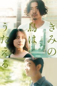 きみの鳥はうたえる Online En Netflix