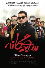 سه بیگانه Online En Netflix